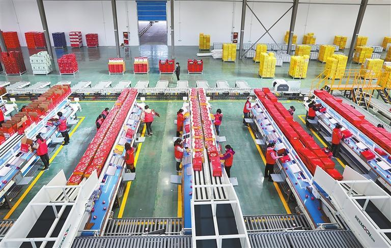 【厚道甘肃 地道甘味】找准一条路 黄土能“生金”——平凉静宁苹果产业铸就181亿元品牌传奇