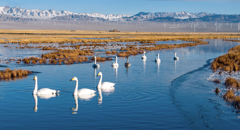 �������ȣ����B�w��·���ϵ�