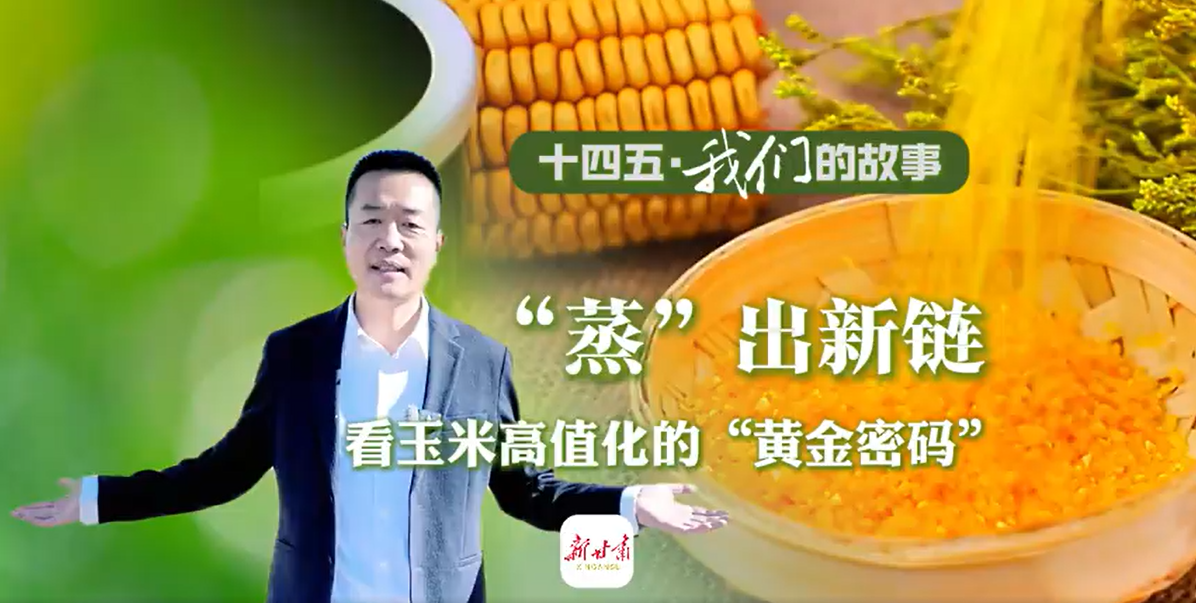 ʮ塤ǵĹ¡ ׸ֵġƽ롱