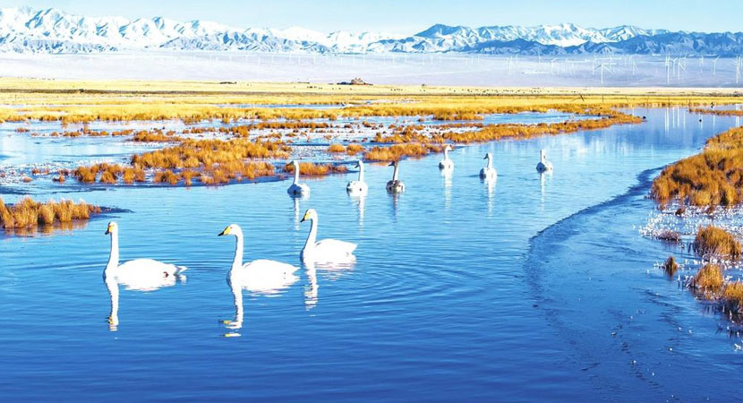 �������hС�K�ɺ���ش����Z��߮Ғʳ