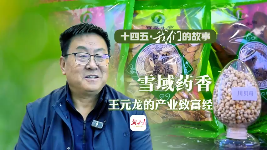 ʮ塤ǵĹ¡ѩҩ ԪĲҵ¸