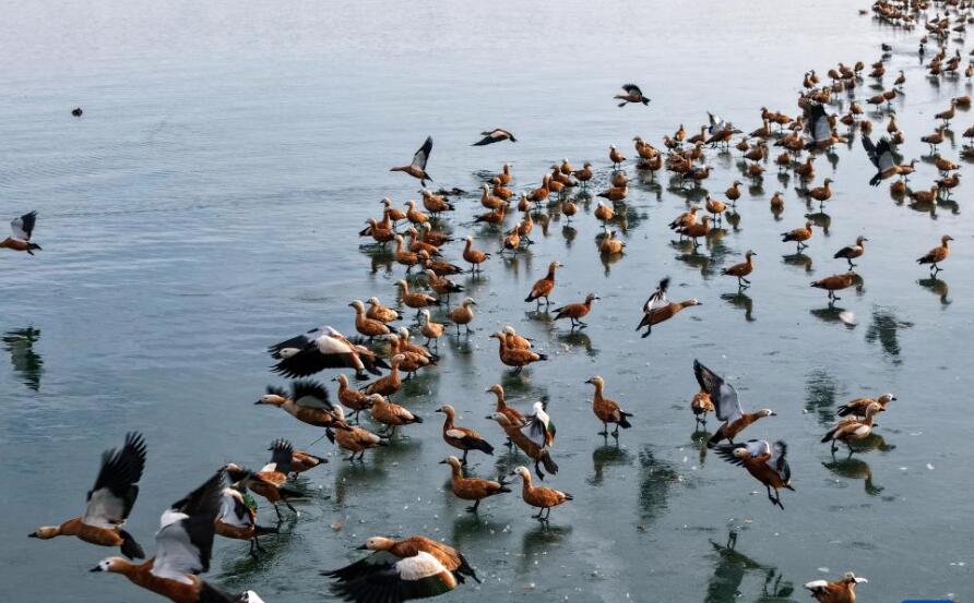 ý忴ࡿȣǨ·ϵġ̬վ