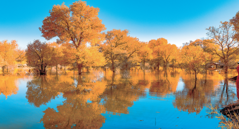 ¤ԭ̾ ʵʮ塱ʱڸ̬չ