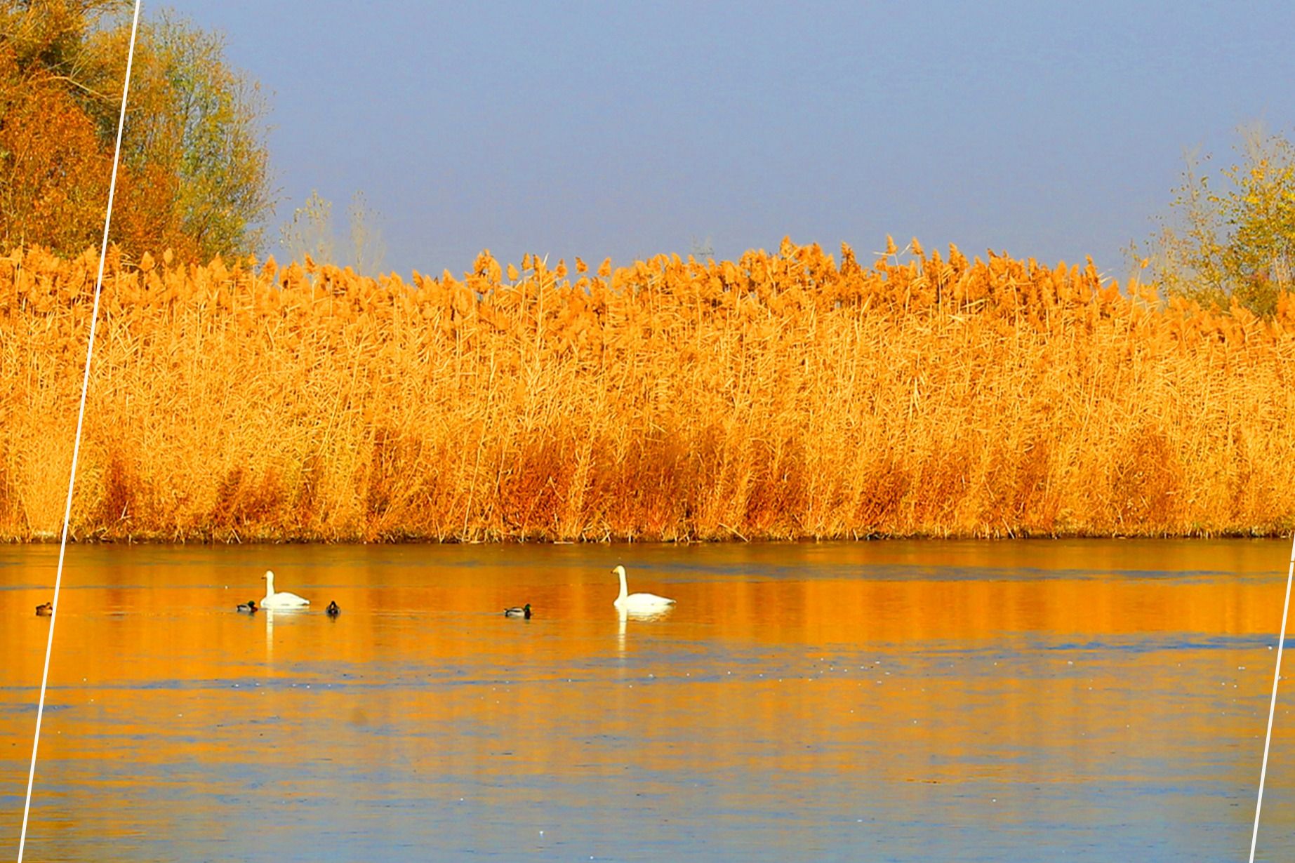 ��ê���ִ��� �ĸ�������������� | ���๹�����ϸ���ƶ���ϵ��������̬������ȫ������ǽ��