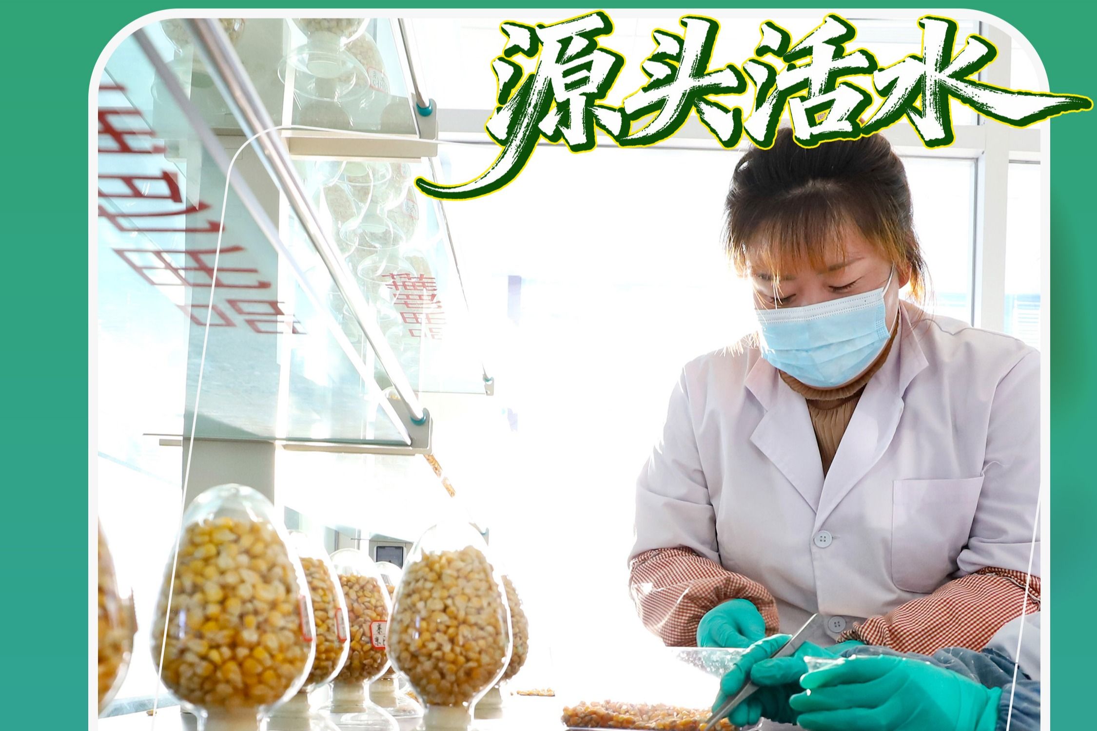 ��ê���ִ��� �ĸ�������������� | �������˰�������ƸĸΪʵ�徭�÷�չע��Դͷ��ˮ