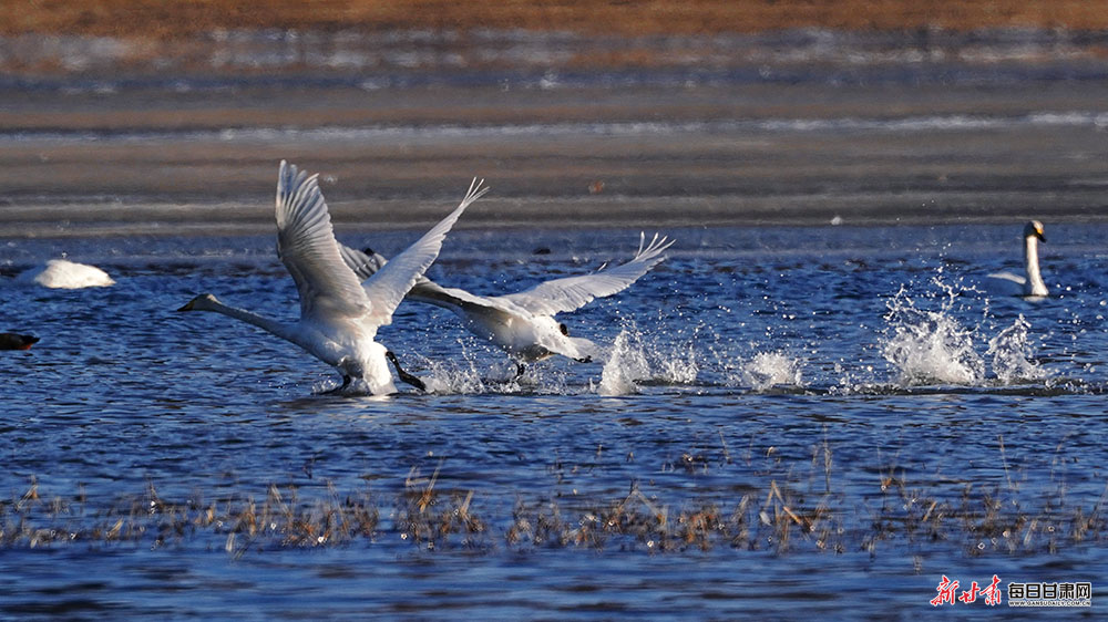 微信图片_20251209221349_584_259