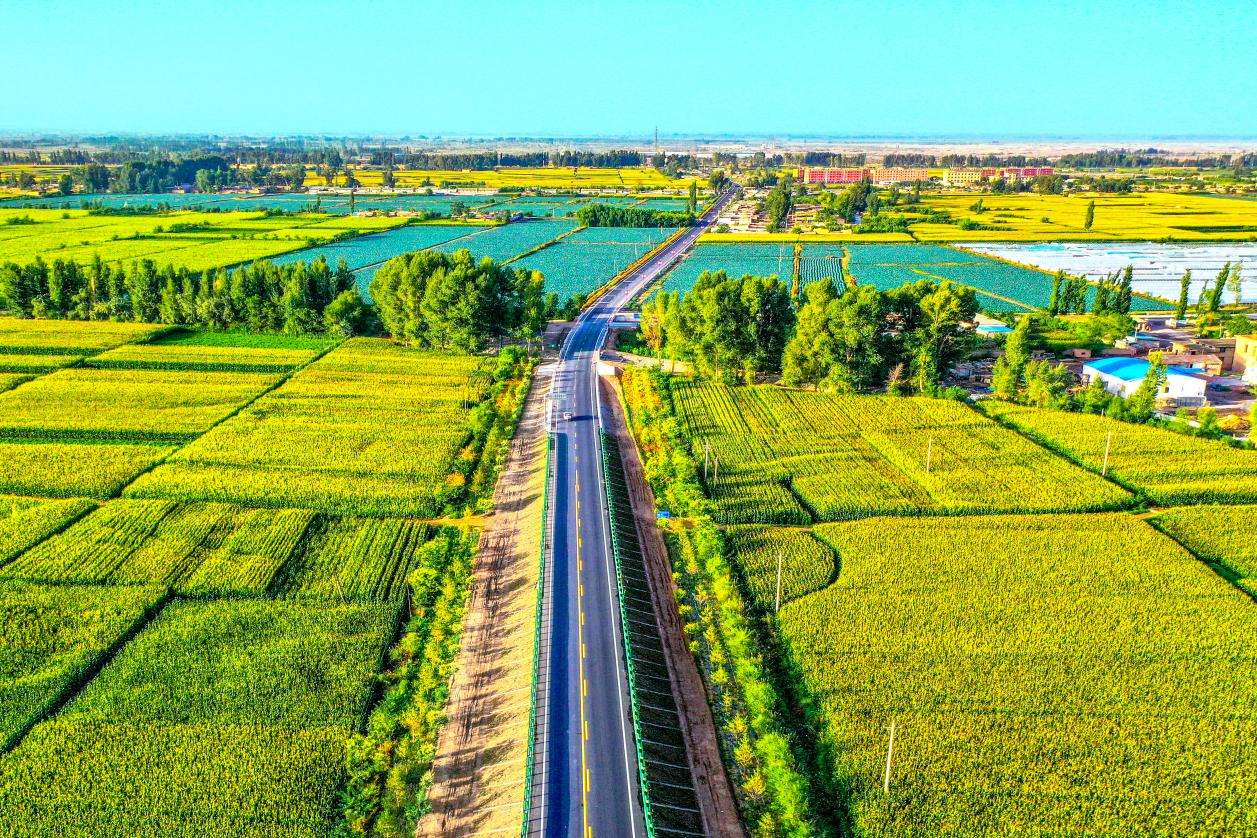 张掖市临泽县四好农村路