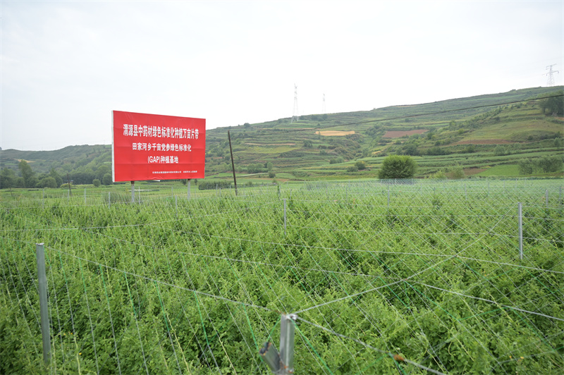 ʡҵʮ塱 | ҩҵš êȫ