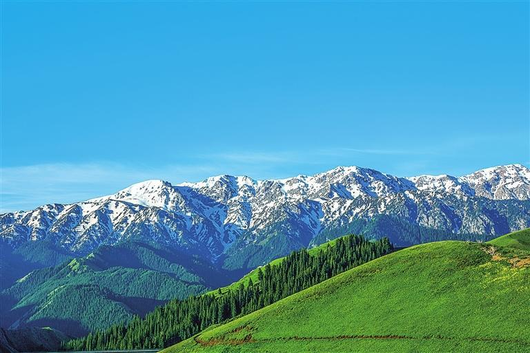 林草為筆描繪綠色隴原新畫卷——“十四五”以來甘肅省以林長制為抓手推進林草事業(yè)高質量發(fā)展綜述