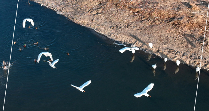 ��ê���ִ��� �ĸ�������������� | �����ƶ�������ƴ��� �ҽл�Į������