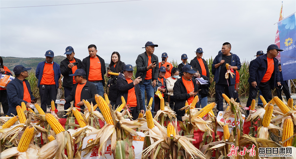 静宁科技赋能筑牢粮食安全根基
