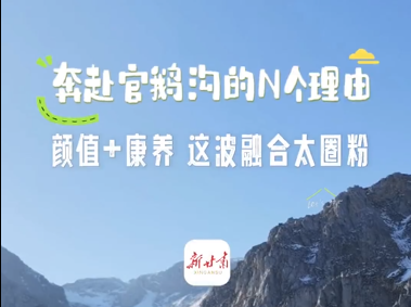 ����ȫ�ᾫ���ڻ���������ٶ칵��N�����ɣ�����ֵ+�������Ⲩ�ں�̫Ȧ��