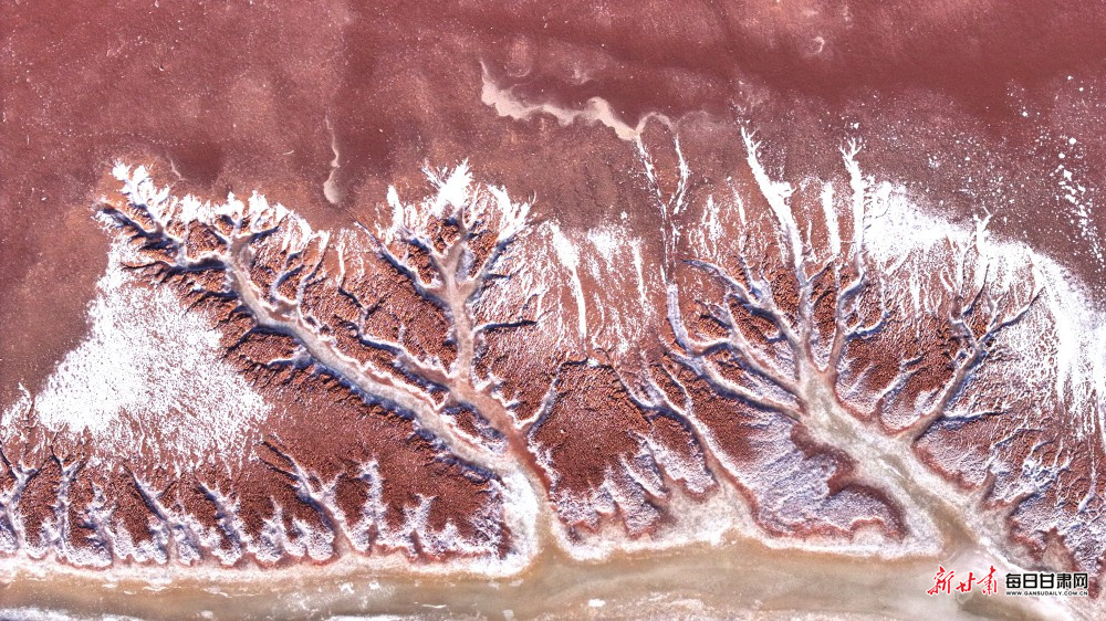 ����Ͽ�ƺ�̲Ϳ��ʹ�����