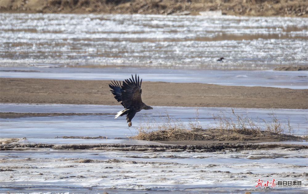 6ֻ��β������������ʪ��