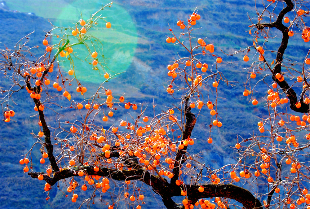 ���������ġ���������·��