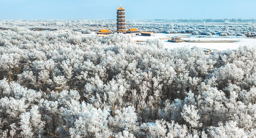 �캮��ĺ Ʒʫ����