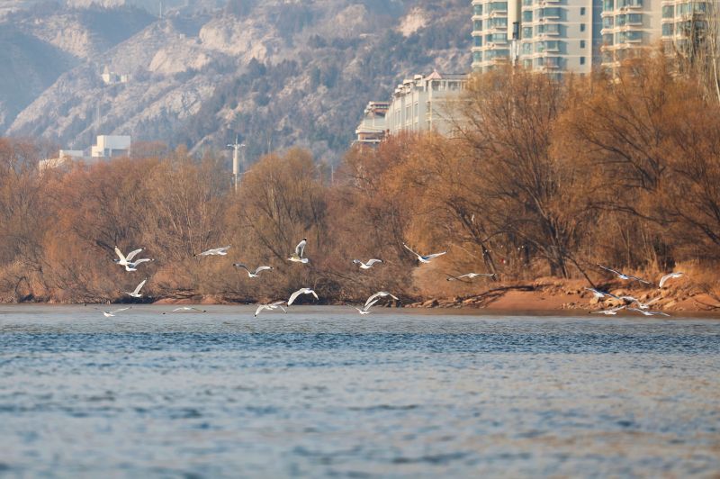 ��̬��ã��ƺ����ݶγɺ���Խ��ʤ��