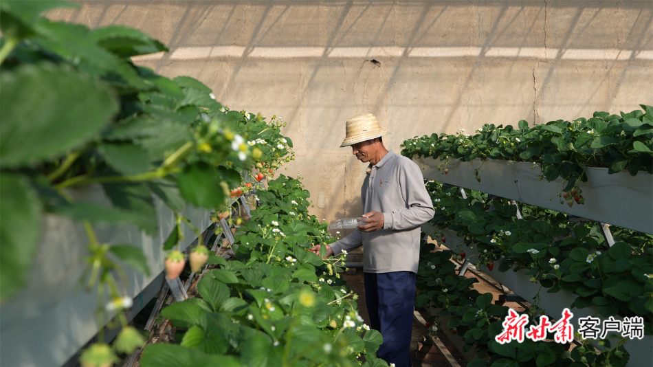 ��ê���ִ��� �ĸ�������Ƽ�Ϊ�ʻ��ũҵ��ͼ������̽�����������ִ�ũҵʾ��԰