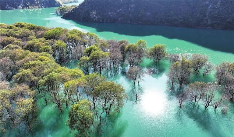 �������ݣ���̬�����뻭��