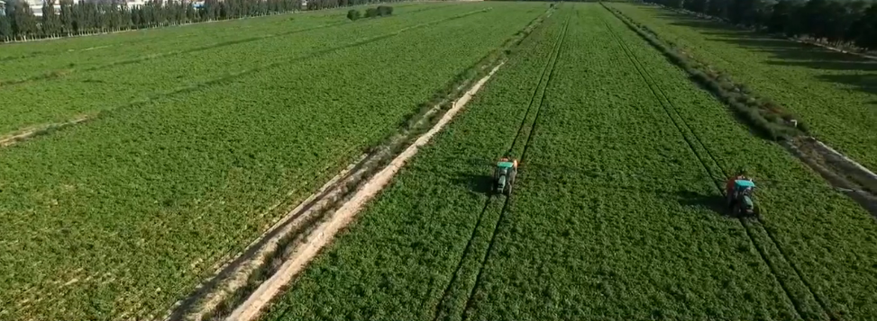 ���ࣺ�ڶ������سа��Ե㹤�����������ƽ���