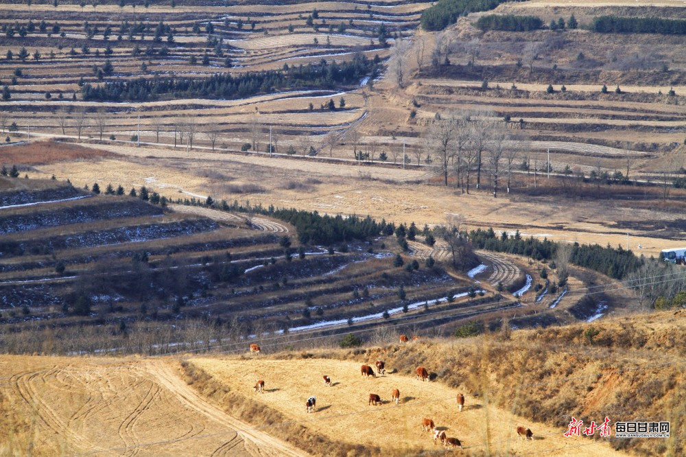 ��������ɽ���� �������ԭ��̬