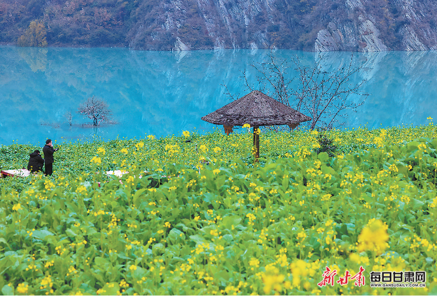 【图片新闻】文县玉垒坪村油菜花渐次开放