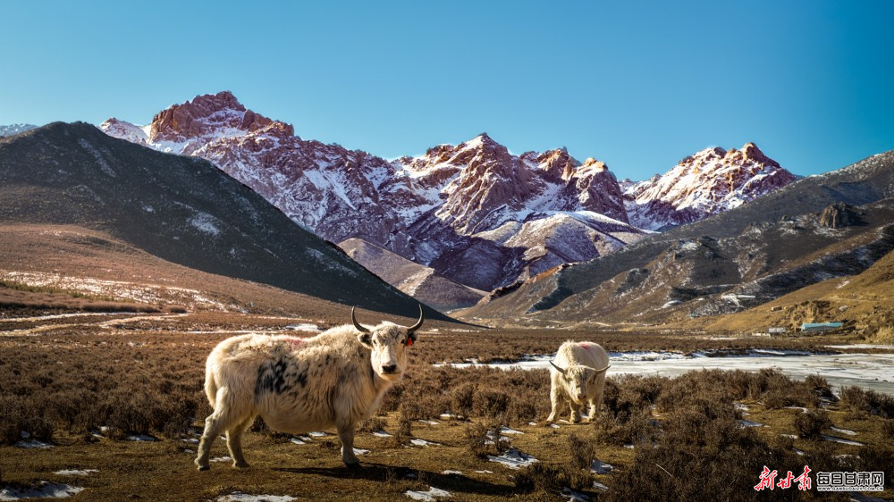 ����ɽ����ţ�� ��ף��ԭ������