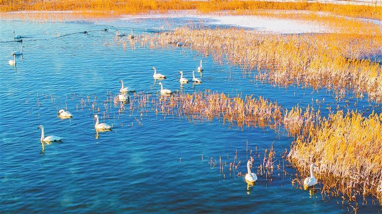 �ں�����Խ�������������ʳ