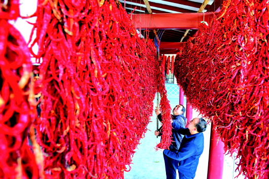 【图片新闻】清水县:“闲置地”结出“增收果”