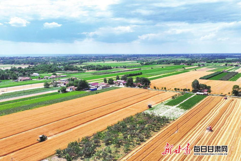 【2025我们这一年】甘肃省粮食总产量突破1300万吨大关