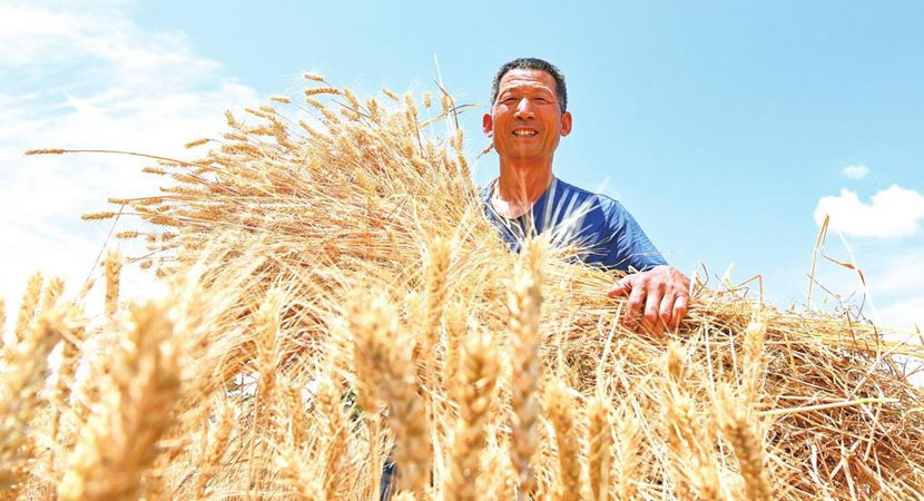 ��������һ�꡿������ʳ������1300���