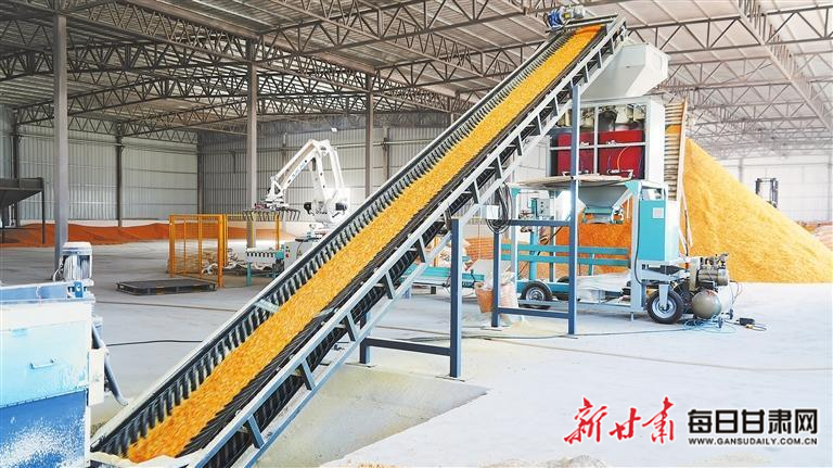 【图片新闻】肃南县明花乡蒸汽压片玉米厂建成投产