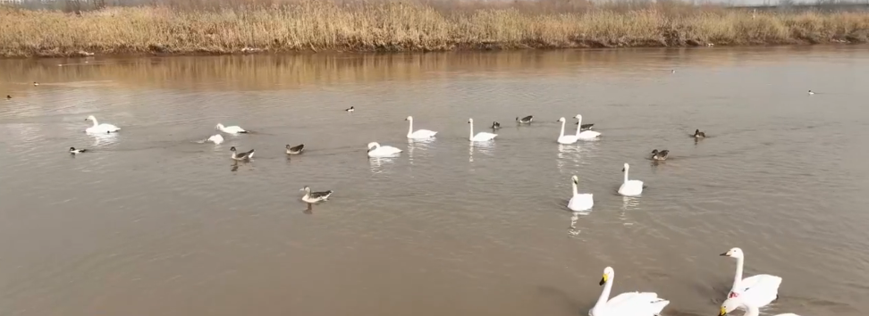 �������̲�ɶ��ա�������