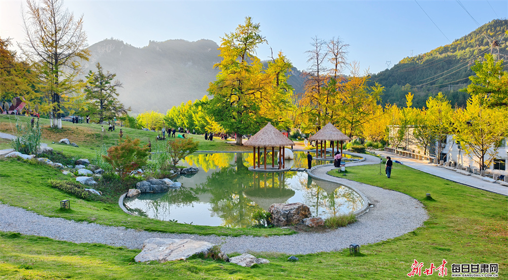 ����2025����������ںϷ�չ��������