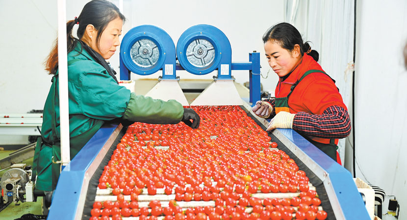 ¤�����ִ�ũҵ��ҵ԰���˷ּ�С����