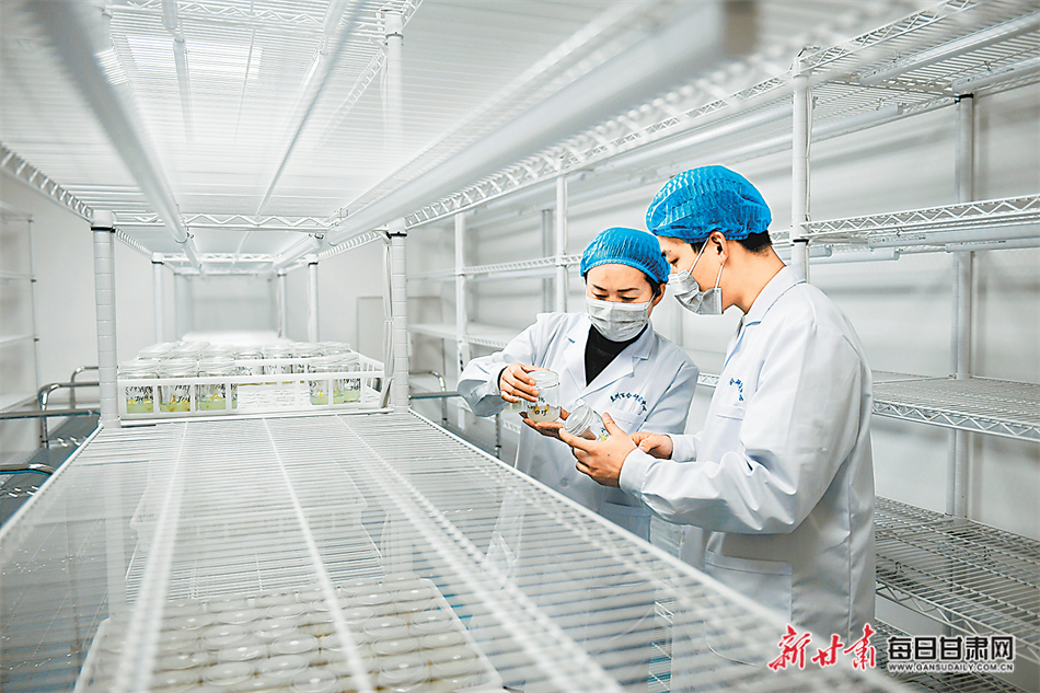 【图片新闻】中国农业科学院蔬菜花卉研究所兰州百合研究中心成立