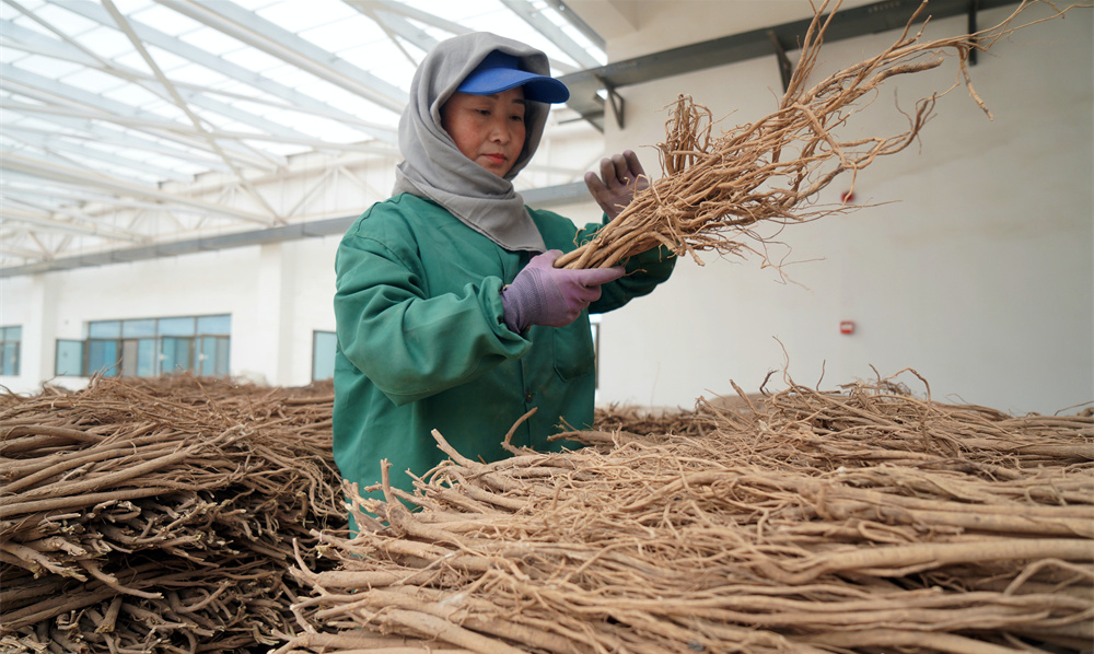 ҩ����ɽ�� 崲����Ρ��������������·