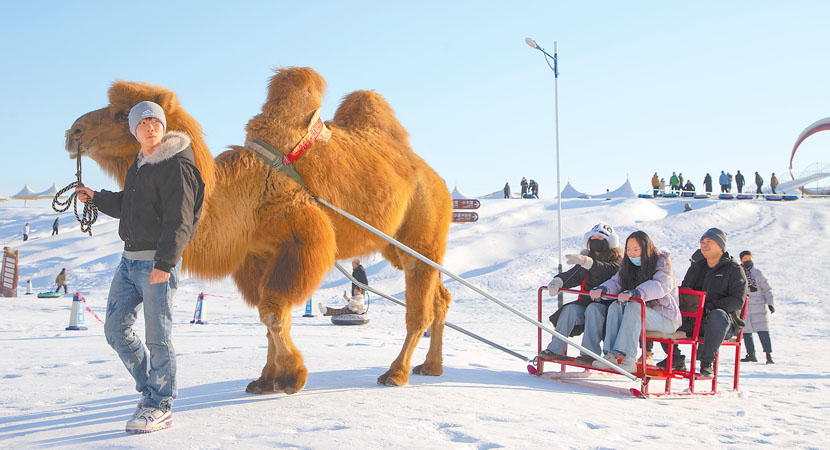 ��Ҵ����ɳĮ������԰���ݱ�ѩʢ��