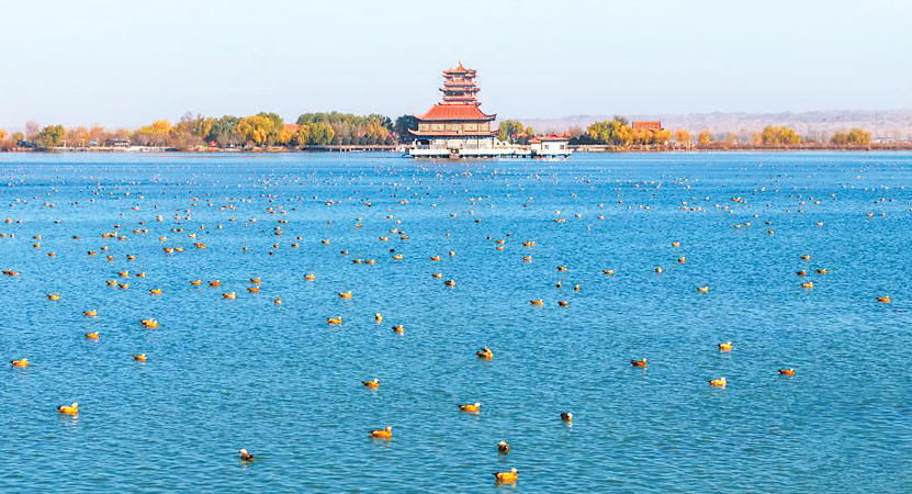 ����ʪ�� ����Խ���뻭��