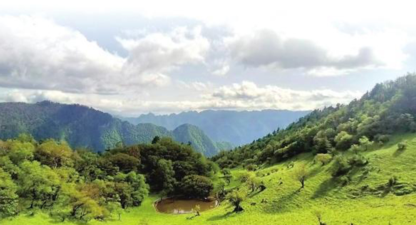 ̽�ظ���С¤ɽ���Ҽ���Ȼ������