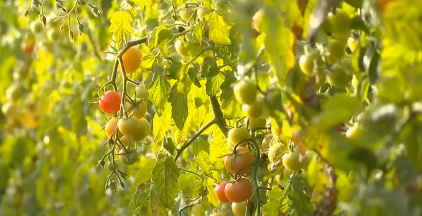 ���ࣺ��ҵ����������������ͼ��