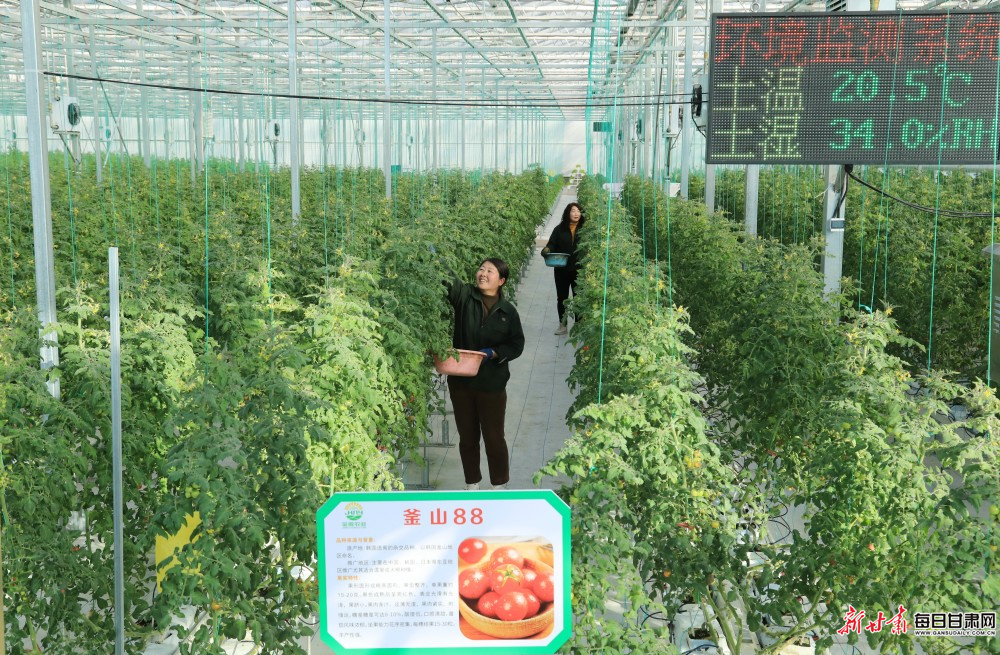 �Ƽ����� �ǻ������� �������ܲ�ҵ԰���֡����¸�·