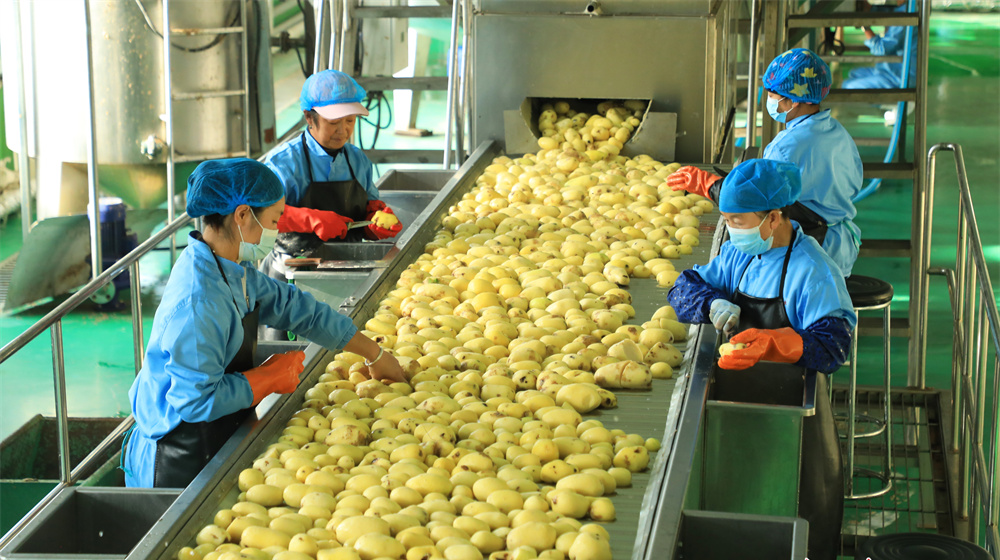 ����ũ��Ʒ�ӹ���ҵ������ɫ��ҵ