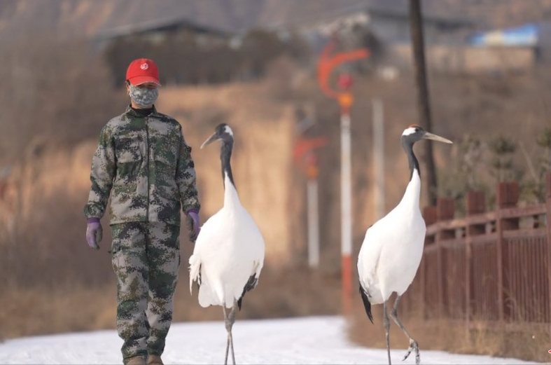 �������˹�������Ⱥ