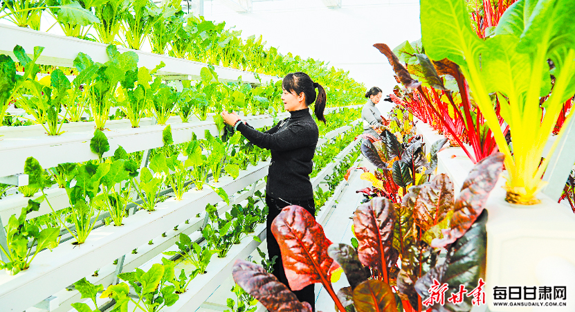 ����:������Ա���������ҹܻ��߲�