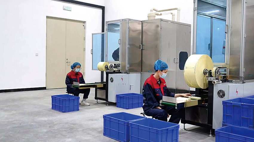 灵台：一株艾草的“升值路”