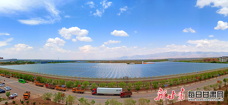 民乐：聚力打造全国串番茄单品冠军县