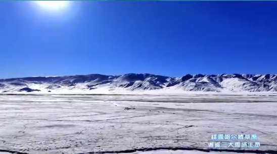 ���գ��ڰ����������ڲ�ԭ��������ѩ������