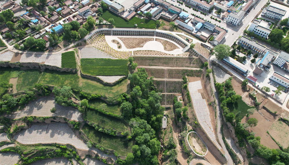 灵台:保塬固沟绘绿卷 生态惠民启新程