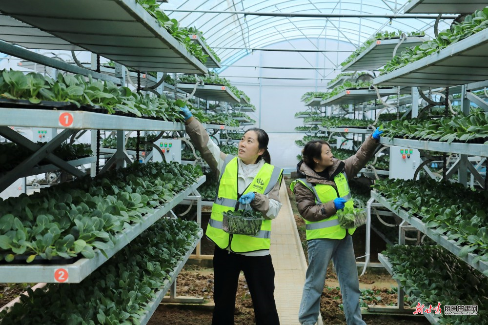 ������ɫ��ҵ�̾͸���·